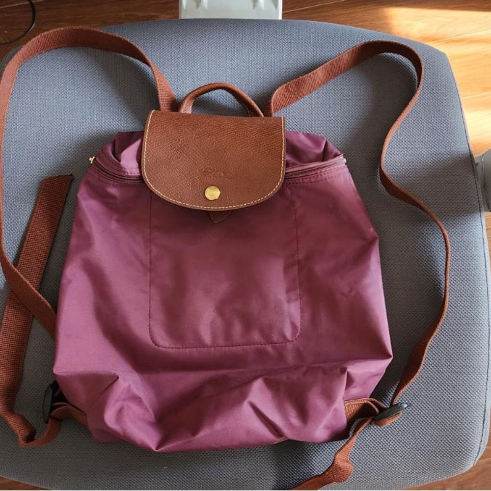 Longchamp Burgundy and Brown Backpack